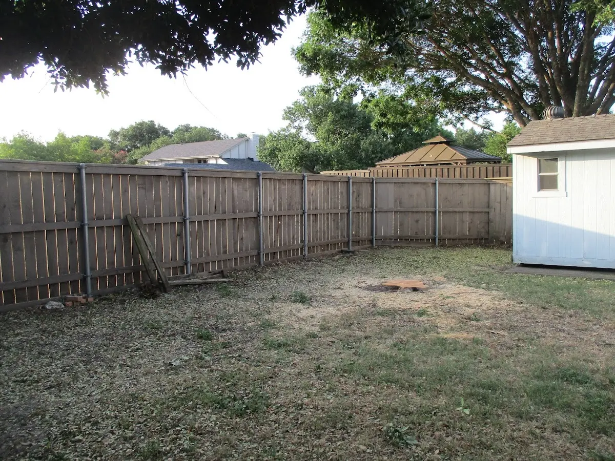 Cleared yard after professional tree removal in Plainville